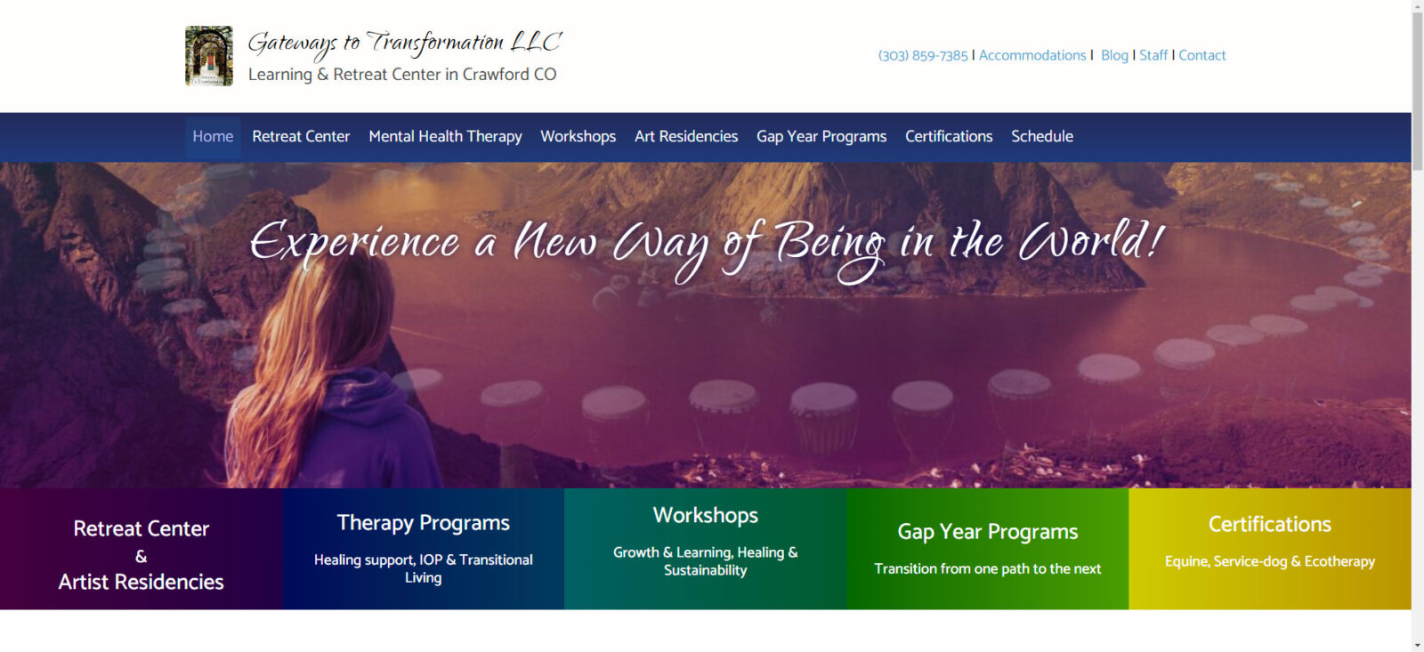 website snapshot