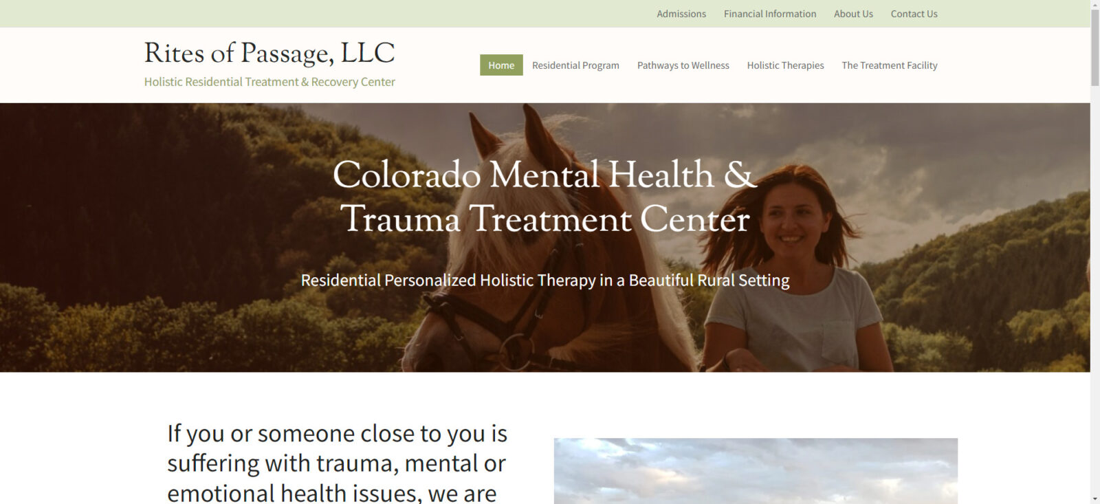 website snapshot